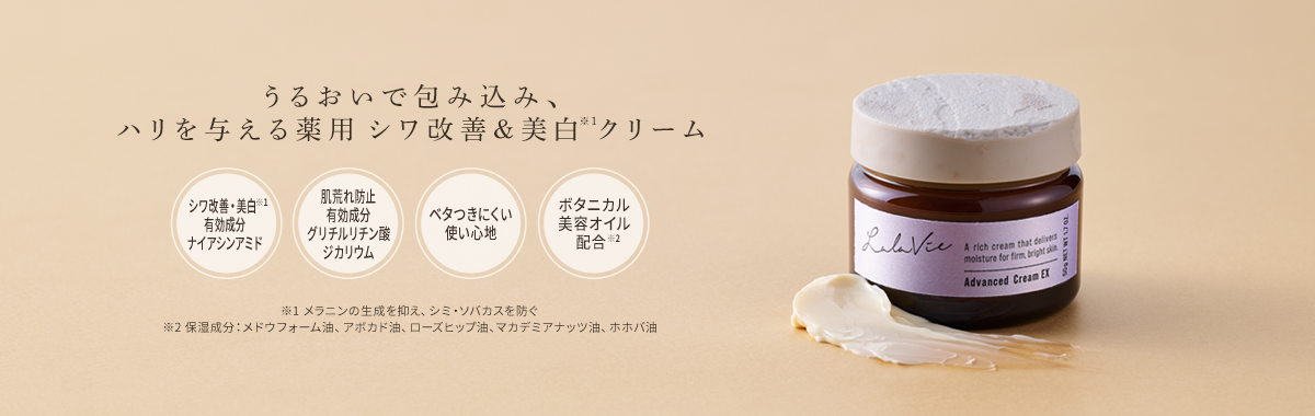 コンセプト画像